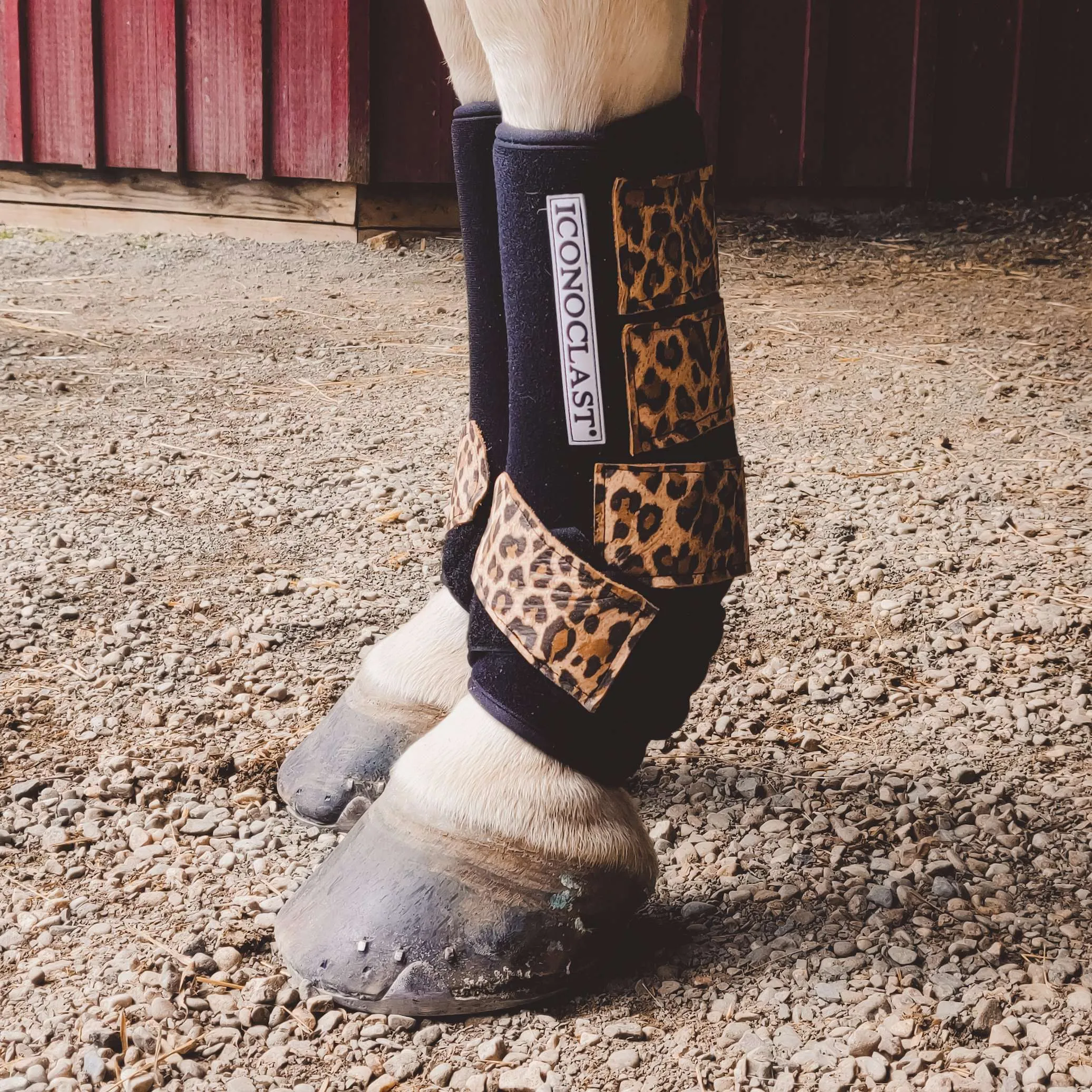 Cool Cat Cheetah Custom Leather Strap Iconoclast Boots